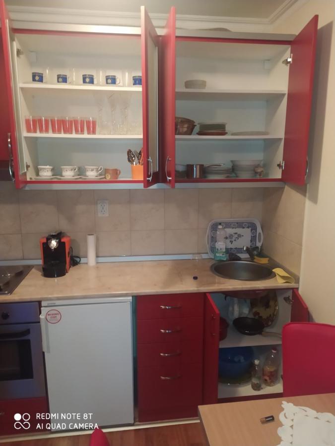 Apartman Arsenijevic Vrnjačka Banja Eksteriør bilde