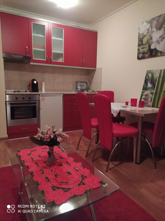 Apartman Arsenijevic Vrnjačka Banja Eksteriør bilde